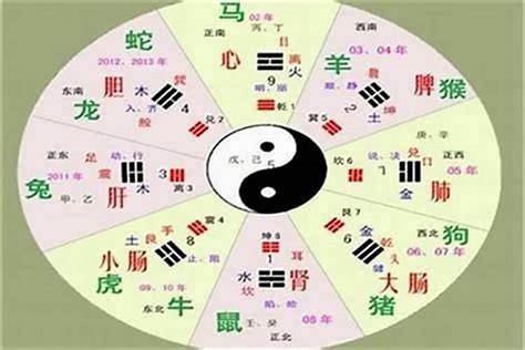 辰字五行|五行汉字属性查询